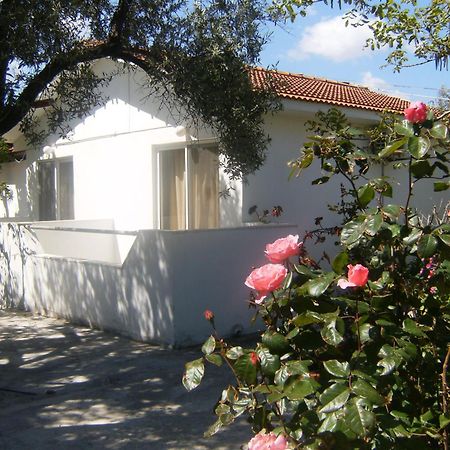 Pension Zoi Kolymbia Exteriör bild