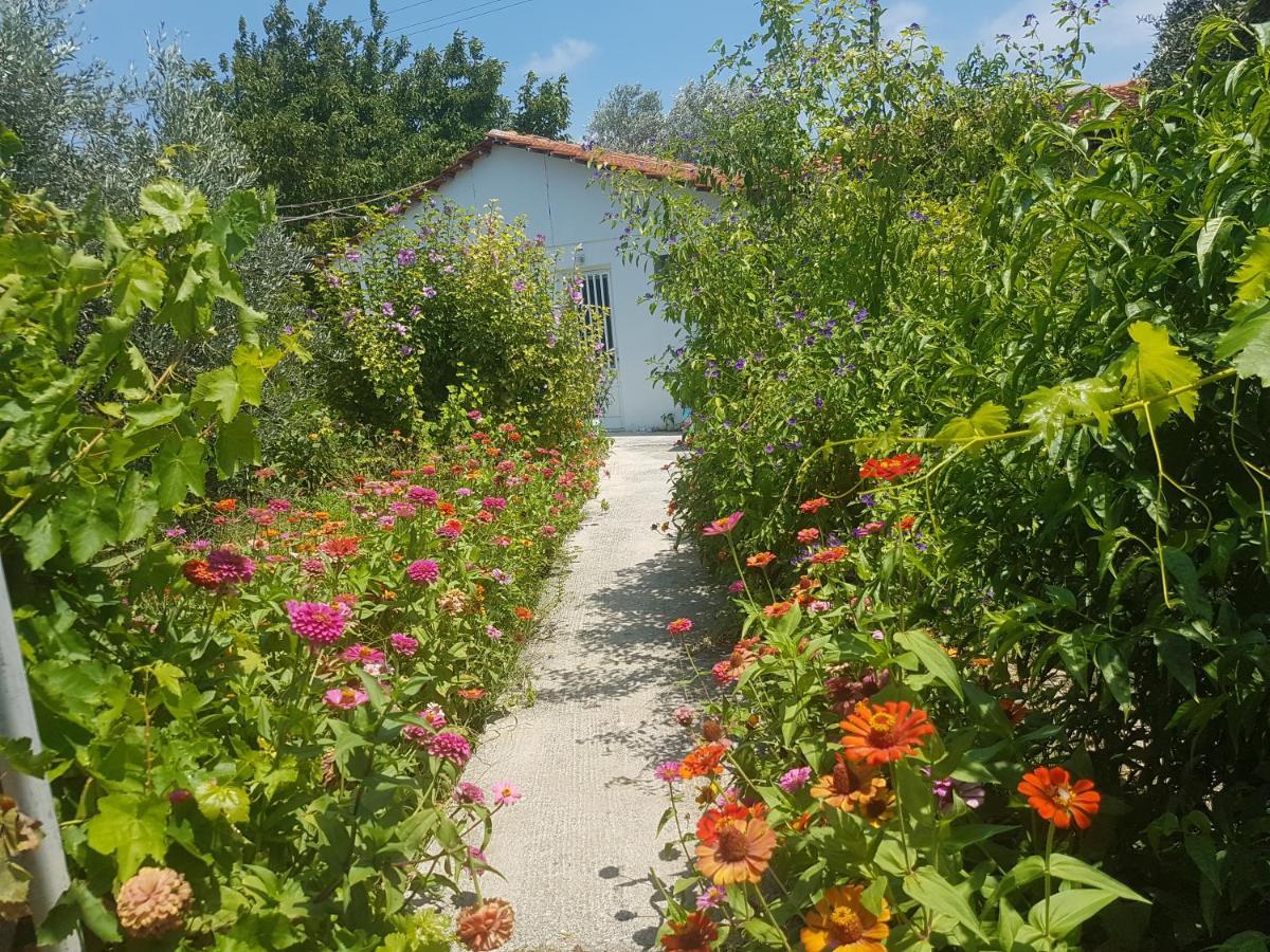 Pension Zoi Kolymbia Exteriör bild